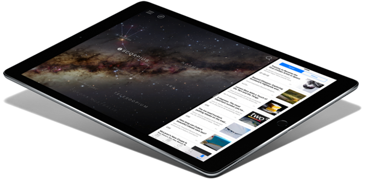 iPad-Pro-Gripzo-Gorilla-XL
